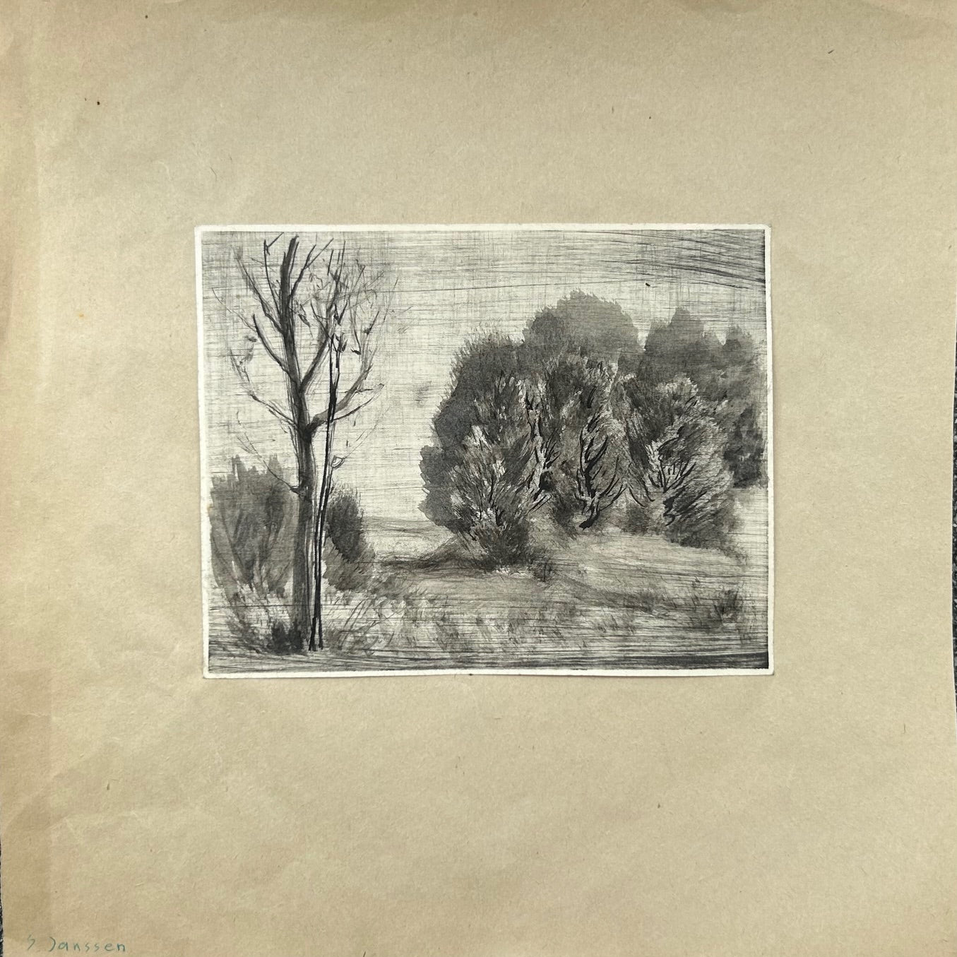o.T / Baum Landschaft