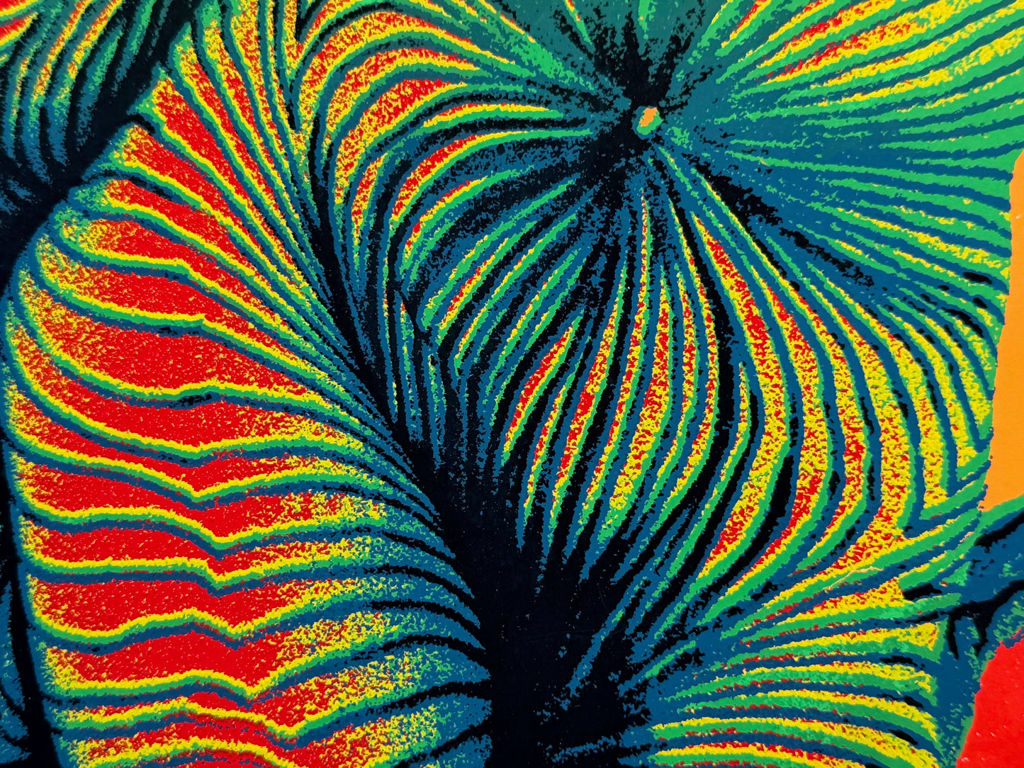 o.T / psychedelische Akte