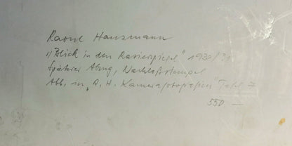 Blick in den Rasierspiegel
