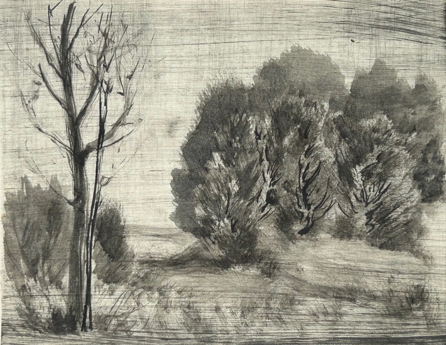 o.T / Baum Landschaft