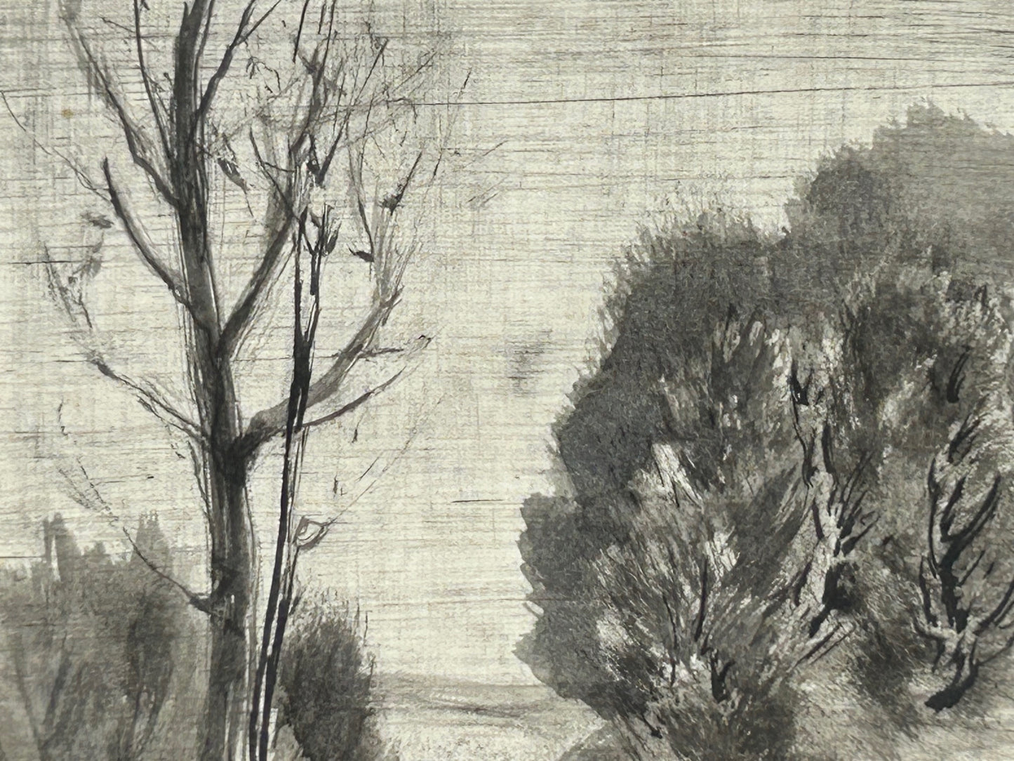 o.T / Baum Landschaft
