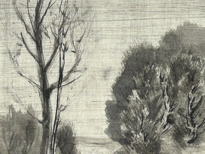 o.T / Baum Landschaft
