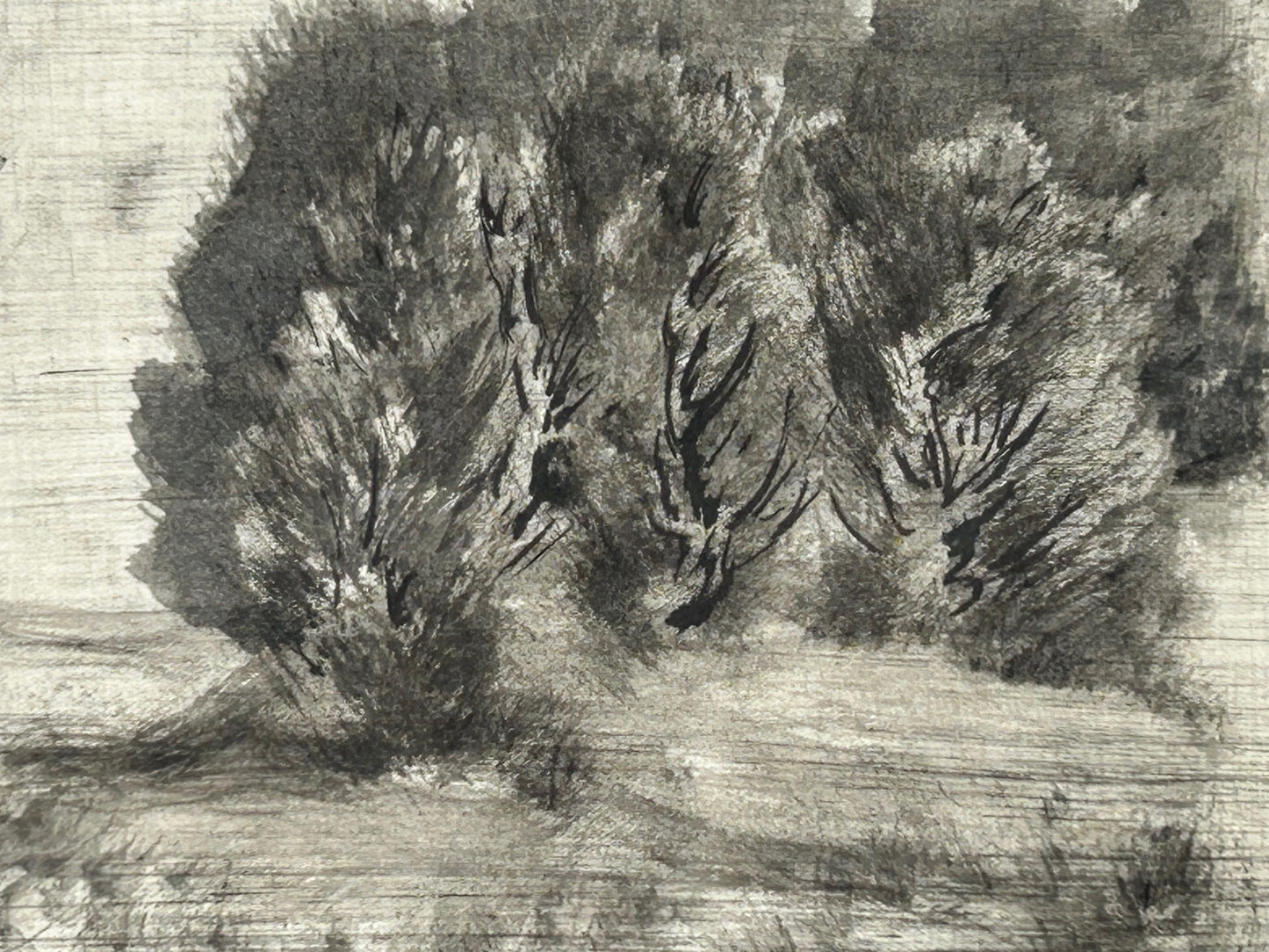 o.T / Baum Landschaft