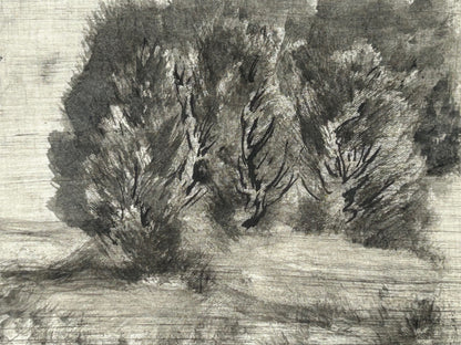 o.T / Baum Landschaft