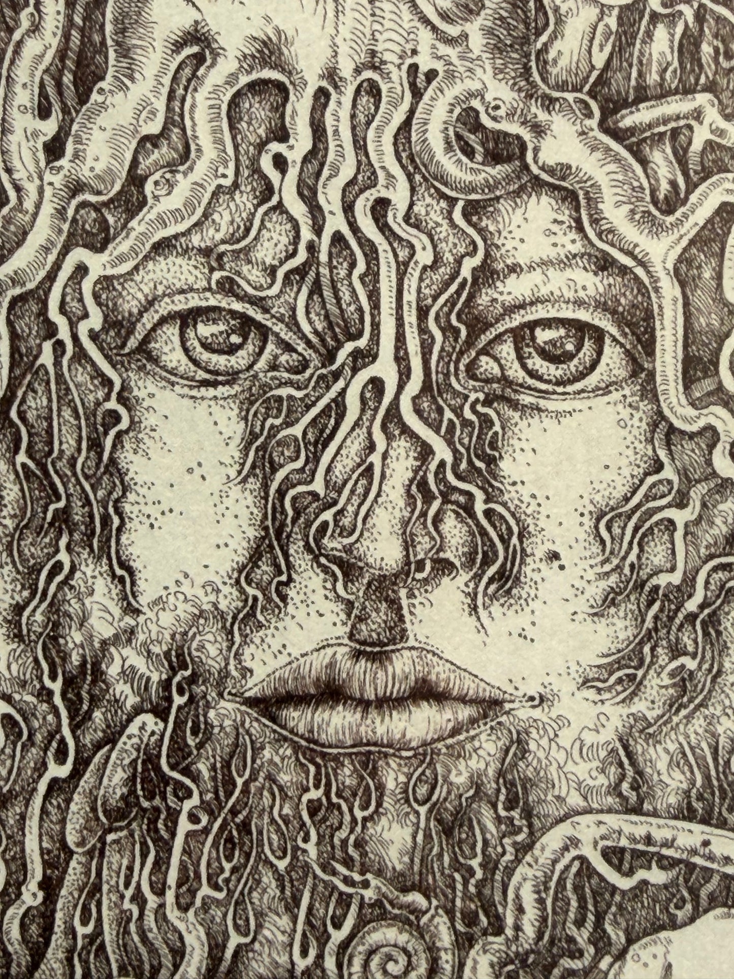 o.T / Baumgesichter