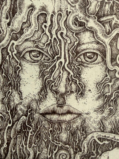 o.T / Baumgesichter