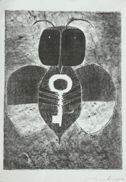 o.T / der Käfer im Brunnen