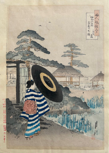 o.T / Iris Garden at Horikiri