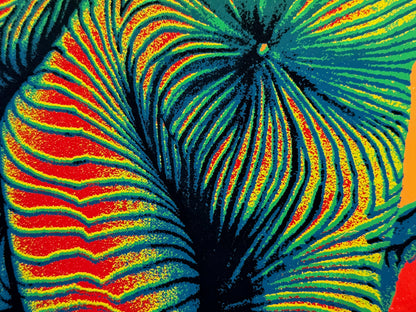 o.T / psychedelische Akte